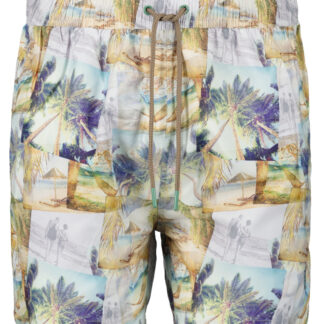 Ragman Swimshort PALMA L